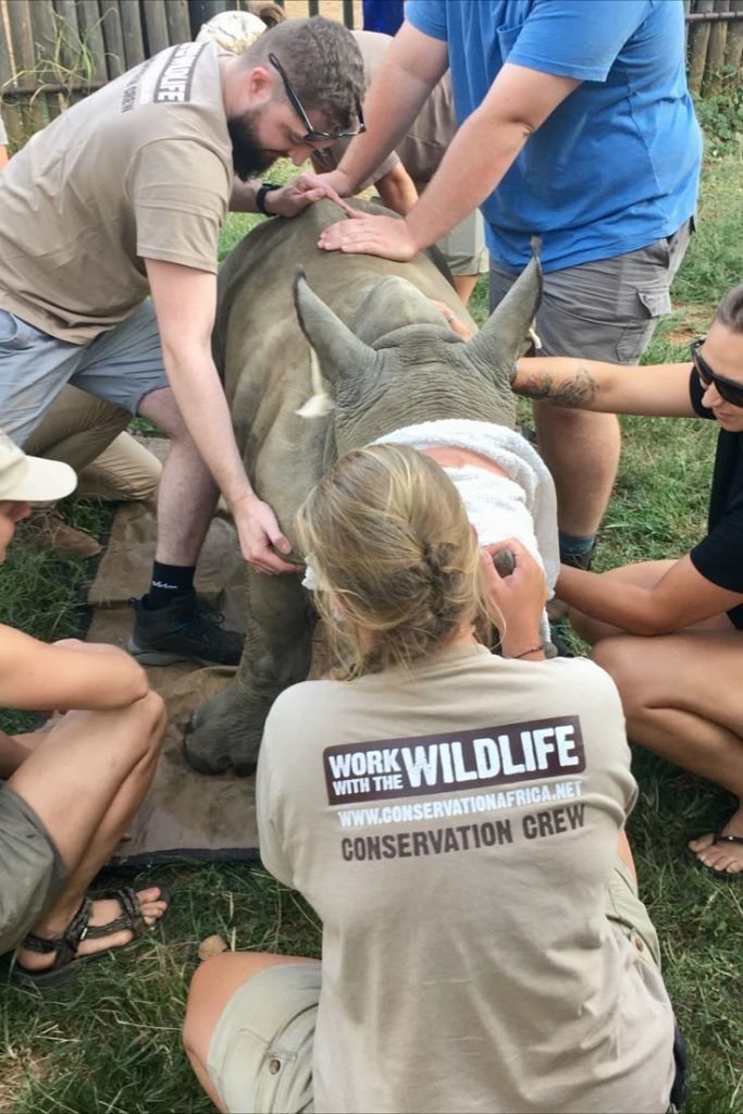 wild rescue wild rescue